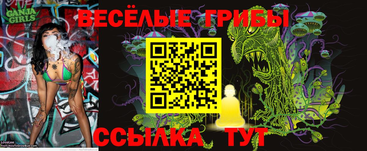 Галлюциногенные грибы Psilocybe Россошь